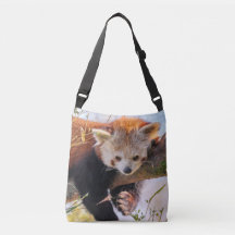 Pantaninha vermelha preguiçosa