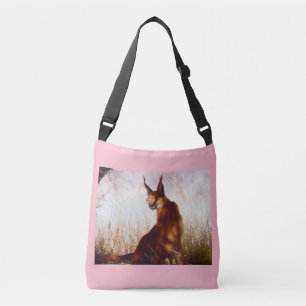 BOLSA AJUSTÁVEL POR TODO O LADO NO SACO PARA O TRANSPORTE DE