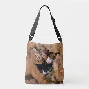 Bolsa Ajustável Três Gatinhos Curiosos Curiosos Foto Engraçada -