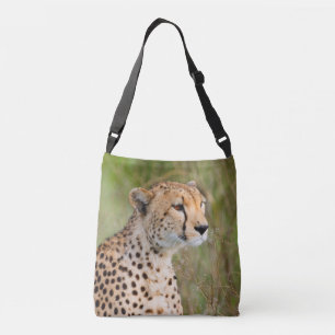 Bolsa Ajustável Um Cheetah solteiro. África Serengeti