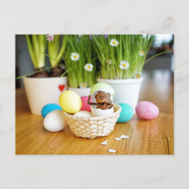 Bolsa de Acorn elf com cartão postal de Páscoa de 