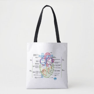 Bolsa de Anatomia Cardíaca DITKI