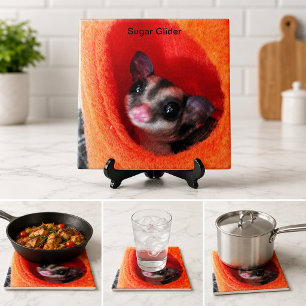 Bolsa de dormir laranja fofo para sugar glider, de