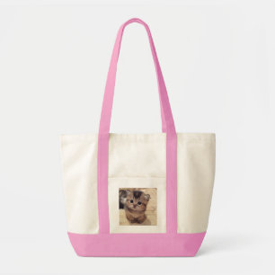 Bolsa de mão de gato