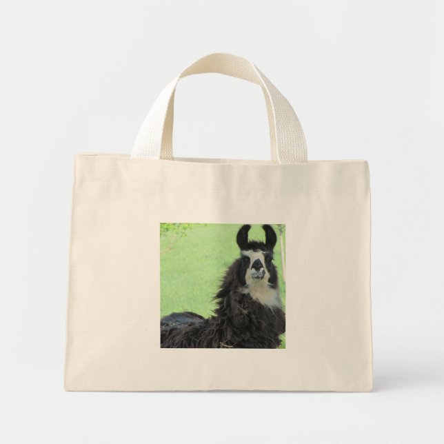 bolsa Llama (Frente)