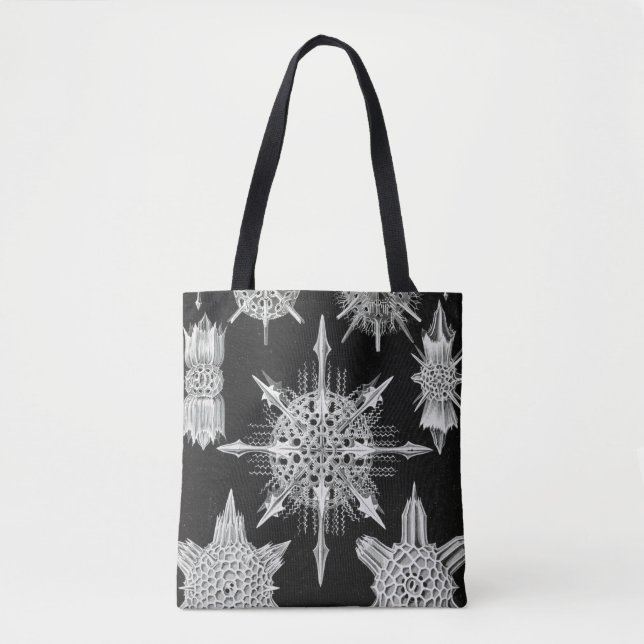 Bolsa Tote Acanthophracta, Wunderstrahlinge Animal Aquático (Frente)