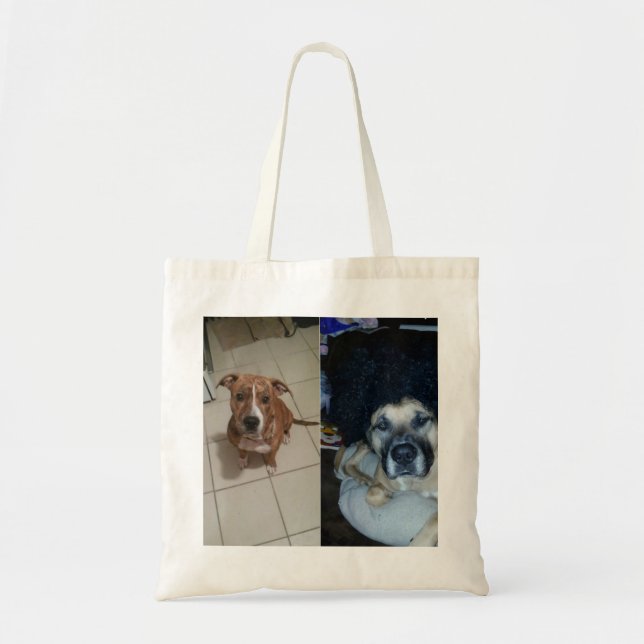 Bolsa Tote Addy e Obi (Frente)