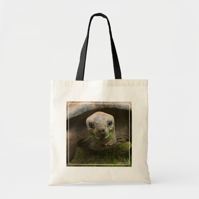 Bolsa Tote Aldabra Tortoise Feeding (Frente)