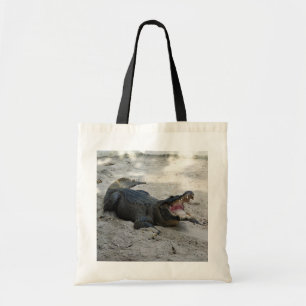 Bolsa Tote Alligator, Fort Lauderdale, Flórida
