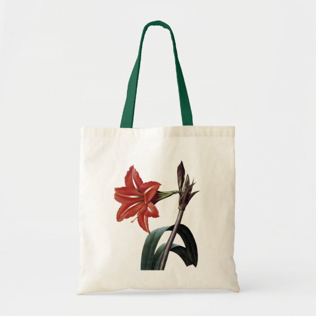 Bolsa Tote Amaryllis listrado (Frente)