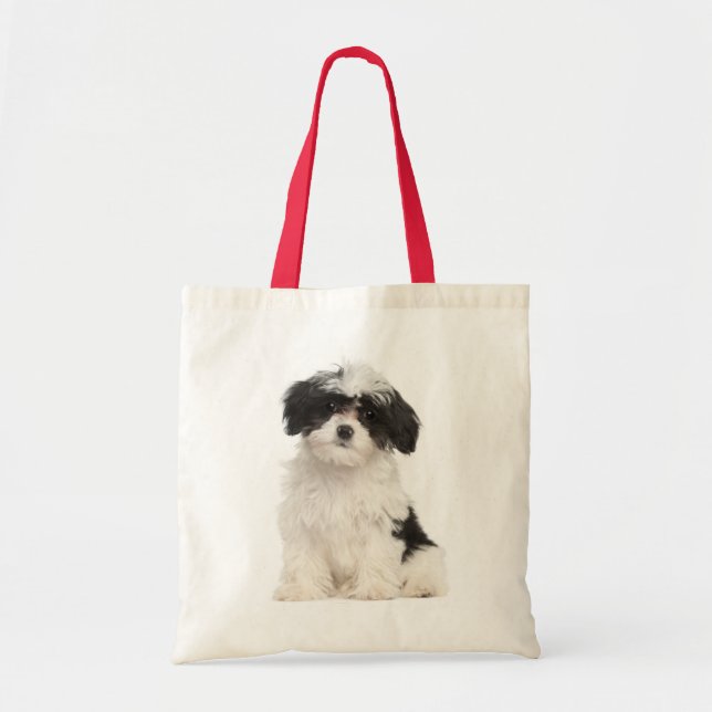 Bolsa Tote Amor Havanês - Canvas De Cachorro (Frente)