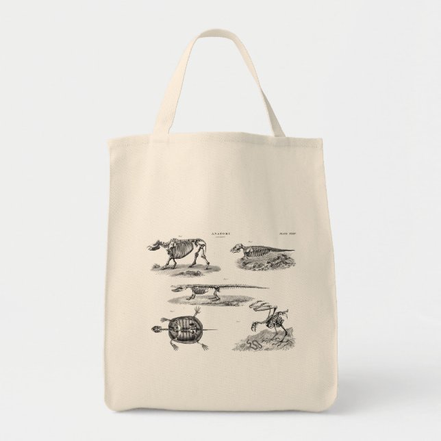 Bolsa Tote Anatomia antiga dos esqueletos animais dos 1800s (Frente)