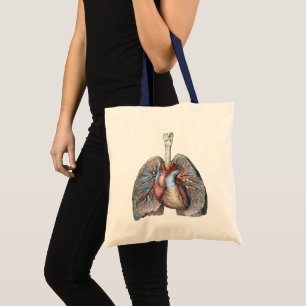 Bolsa Tote Anatomia Humana Vintage Pulmões Coração Órgãos San