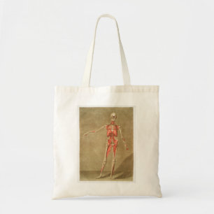 BOLSA TOTE ANATOMIA SKELETON BONES SKELETON MUSCLE HUMAN ANAT