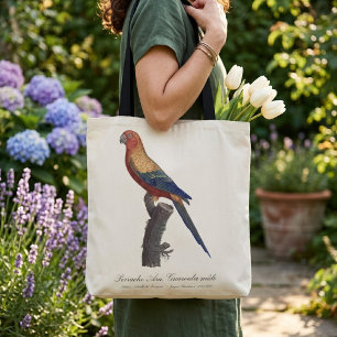 Bolsa Tote Aratinga-sol, Aratinga Solstitialis