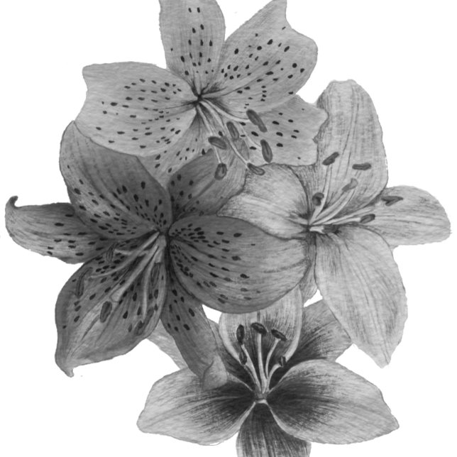 Bolsa Tote arte floral branca e negra (Criador carregado)