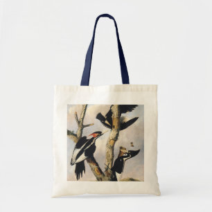 Bolsa Tote Arte Vintage do Pica-Pau-de-Bico-Ivory de Audubon