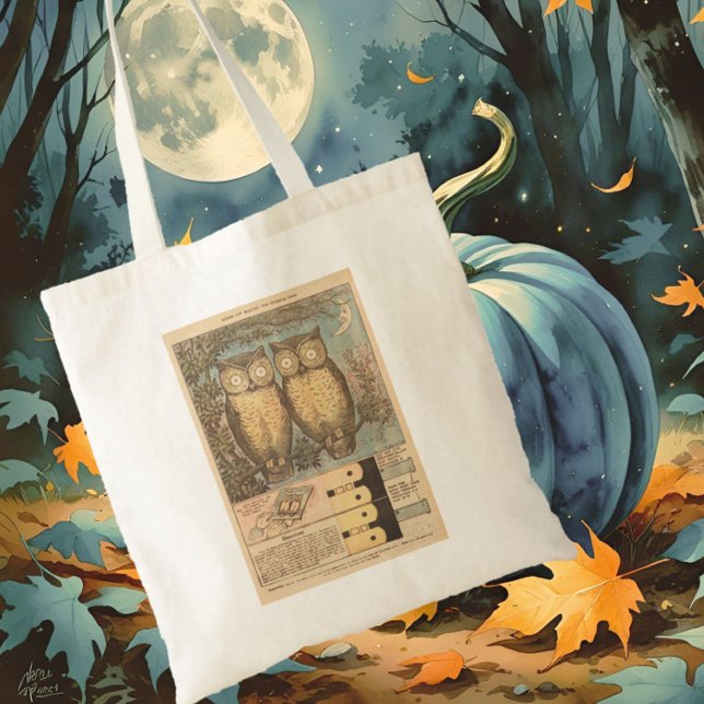 Bolsa Tote Artesanato de queda bonitinho da coruja Vintage (Criador carregado)