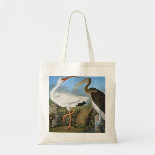 Bolsa Tote Áudio: Ibis Branco (Frente)