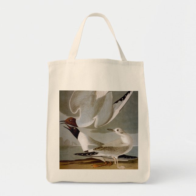 Bolsa Tote Audubon: A gaivota de Bonaparte (Frente)