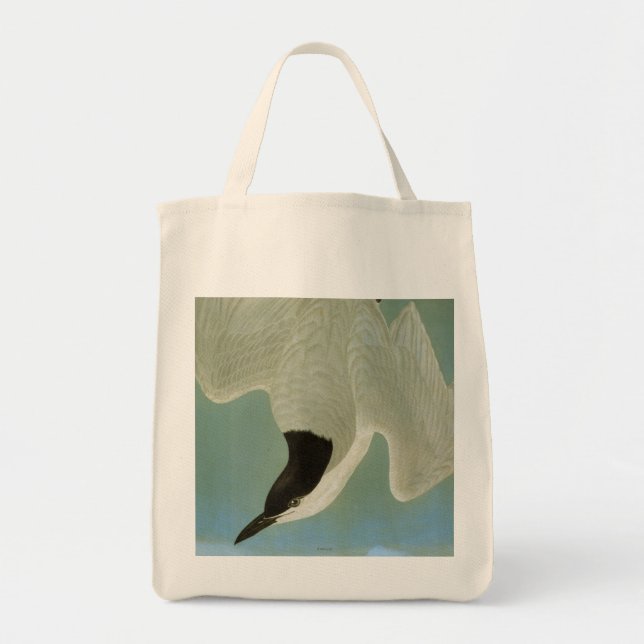 Bolsa Tote Audubon: Andorinha-do-mar Gaivota-Faturada (Frente)