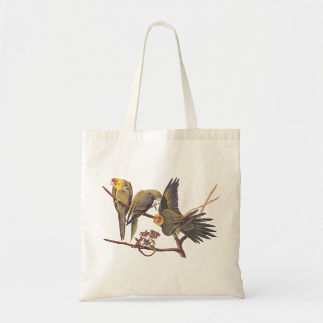 Bolsa Tote Audubon Carolina Parakeet Trio T-Shirt (Frente)