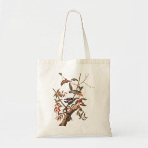 Bolsa Tote Audubon Downy Woodpecker Pair Vintage Art