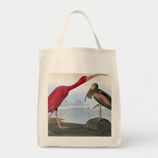 Bolsa Tote Audubon: Escarlate dos íbis (Frente)