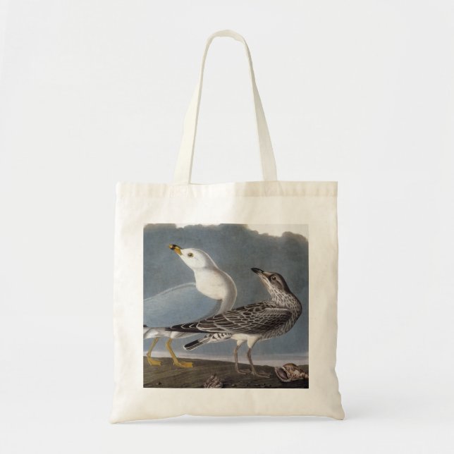 Bolsa Tote Audubon: Gaivota Anel-Faturada (Frente)