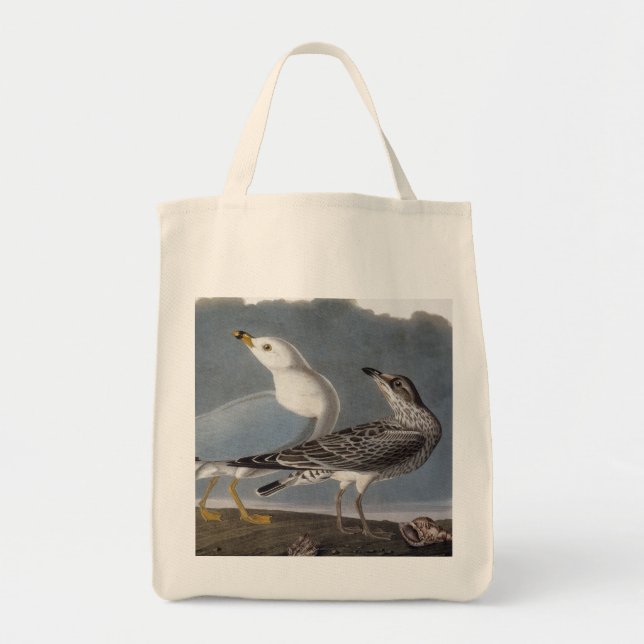 Bolsa Tote Audubon: Gaivota Anel-Faturada (Frente)