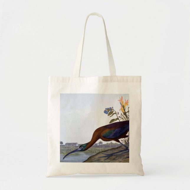 Bolsa Tote Audubon: Íbis lustrosos (Frente)