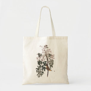 Bolsa Tote Audubon White Eyed Vireo Song Bird Art