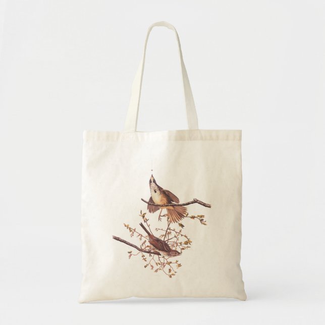Bolsa Tote Aves de Audubon Longas com Aranha Pequena (Frente)