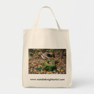 Bolsa Tote Bag2