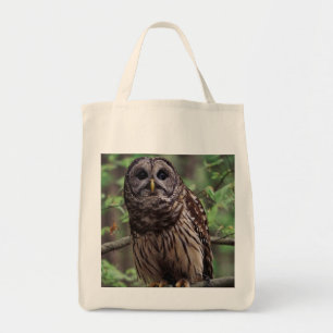 Bolsa Tote Barred Owl