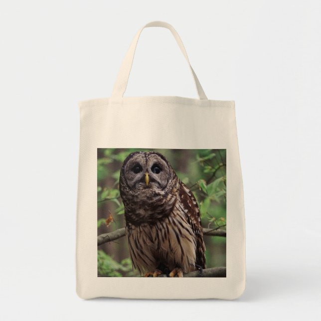 Bolsa Tote Barred Owl (Frente)