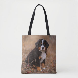 Bolsa Tote Bebês Mais Pobres   Cachorro de Montanha Bernese