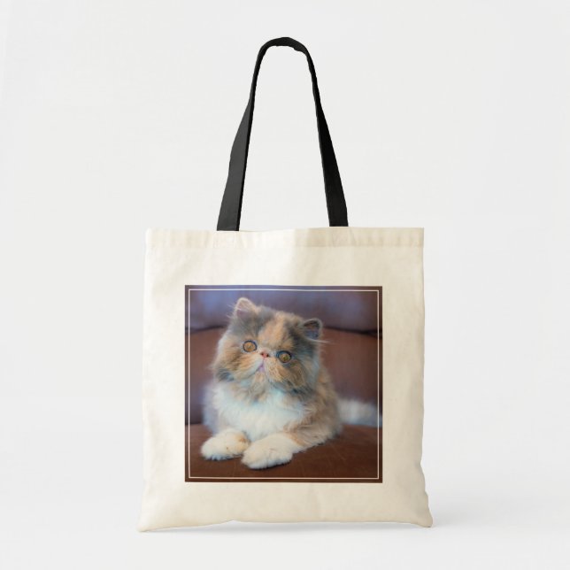 Bolsa Tote Bebês Mais Pobres | Calico Pérsico Kitten (Frente)
