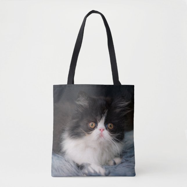 Bolsa Tote Bebês Mais Pobres | Fluffy B&W Kitten (Frente)