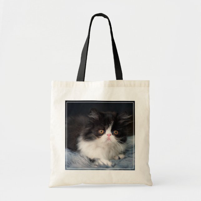 Bolsa Tote Bebês Mais Pobres | Fluffy B&W Kitten (Frente)