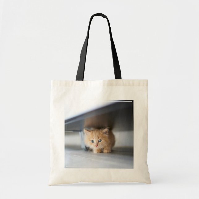 Bolsa Tote Bebês Mais Pobres | Fluffy Orange Kitten (Frente)