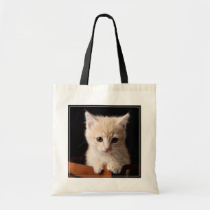 Bolsa Tote Bebês Mais Pobres Ginger Kitten
