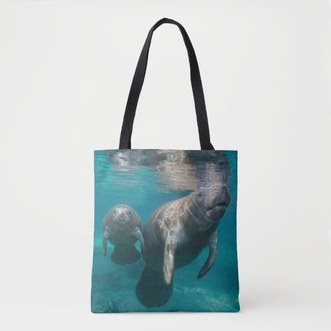 Bolsa Tote Bebês Mais Pobres | Manateio e Bebê (Frente)