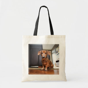 Bolsa Tote Bebês Mais Pobres Mini Dachshund Puppy