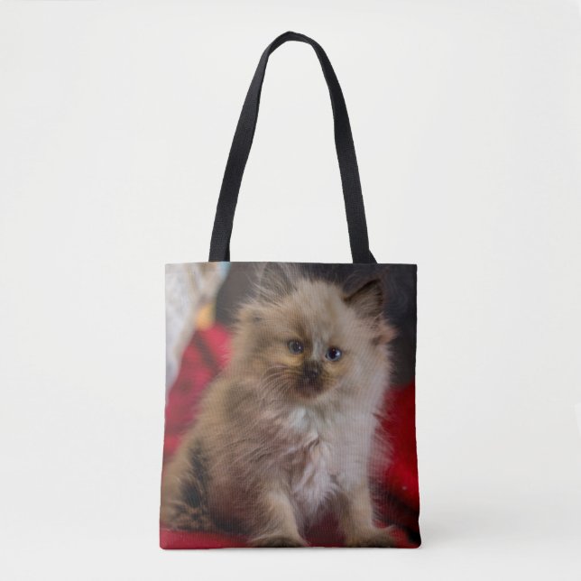 Bolsa Tote Bebês Mais Pobres | Siamese Kitten (Frente)