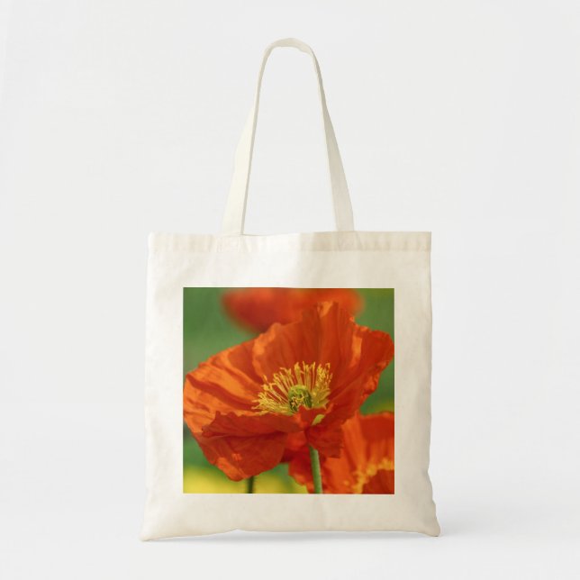 Bolsa Tote Belo papa vermelho (Frente)