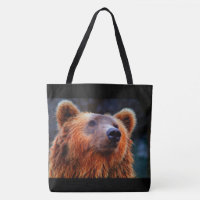 Belo Urso Marrom Retrato Wildlife Foto