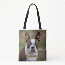 Bonito "Minha Bestie" Boston Terrier personalizado