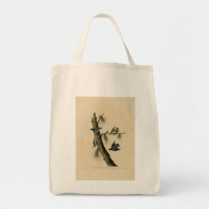 Bolsa Tote Brancos de Nuthatch Audubon, Brancos da América