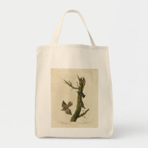 Bolsa Tote Brown Creeper, Pygmy Nuthatch do Pássaro de Audubo